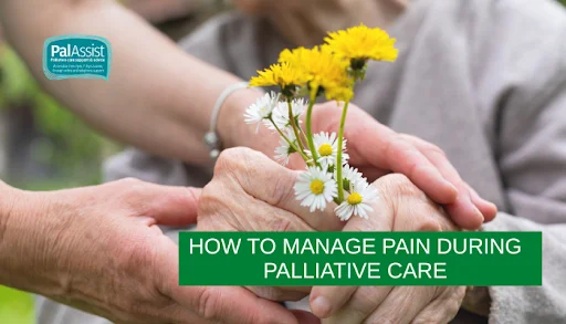 Pain